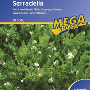 Serradella Gründünger | 1kg für 200 m² | für Bodenlockerung und Stickstoffanreicherung