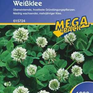 Weissklee Gründünger | 1kg für ca. 250 m² | für Bodendurchlüftung und Beschattung | Nektarspender