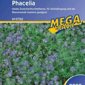 Phacelia Bienenweide Gründünger 2kg