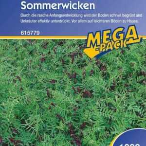 Sommerwicke 1 kg für ca. 75 m²