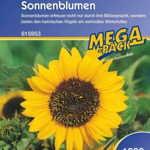 Sonnenblumen Feldsonnenblumen 1kg