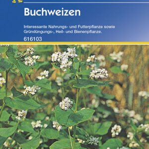 Buchweizen Gründünger Portion 50g