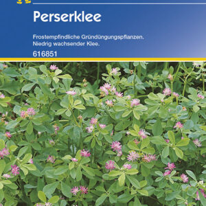 Perserklee Gründünger | Portion 60 g für 20 m² | altbewährte Gründüngungspflanze