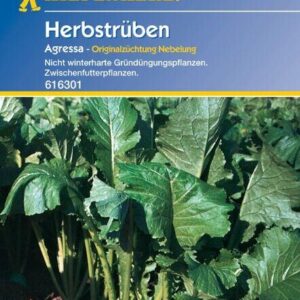 Herbstrüben Gründünger 500gr