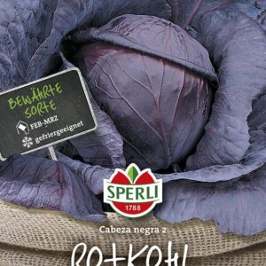 Rotkohl Roodkop (Schwarzkopf)