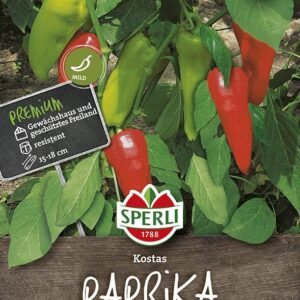 Paprika Kostas F1