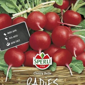 Radieschen Cherry Belle