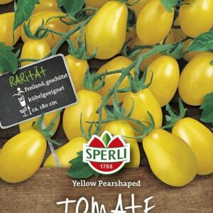 Tomate Yellow Pearshaped