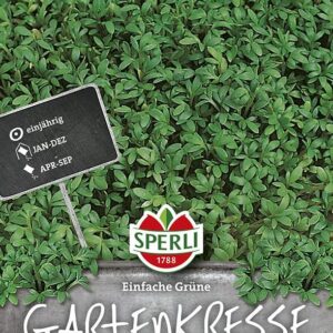 Gartenkresse Einfache Grüne