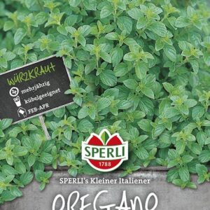 Oregano / Dost SPERLING´s Kleiner Italiener