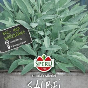 Salbei SPERLING´s Allerlei