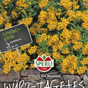 Würz- Tagetes SPERLING´s Hot Mexican