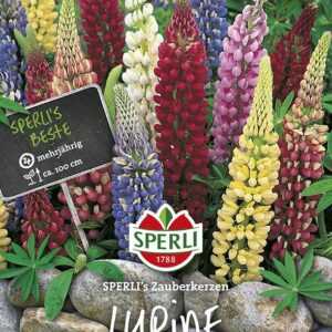 Lupinen SPERLING`s Zauberkerzen