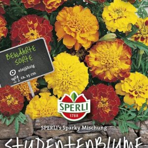 Studentenblume SPERLI´s Sparky Mischung