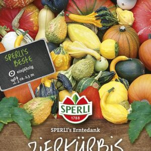 Zierkürbis SPERLI´s Erntedank