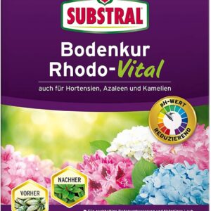 Substral Bodenkur Rhodo-Vital