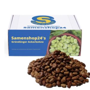 Samenshop24® Ackerbohnen Pferdebohnen Vicia faba