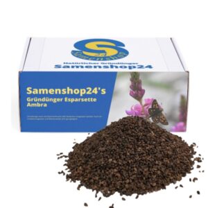 Samenshop24® Esparsette Ambra Onobrychis viciifolia