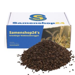 Samenshop24® Waldstaudenroggen Secale multicaule 1kg