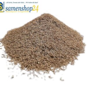 Samenshop24® DSV 530 Schotterrasen 1Kg