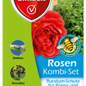 Rosen Kombi-Set