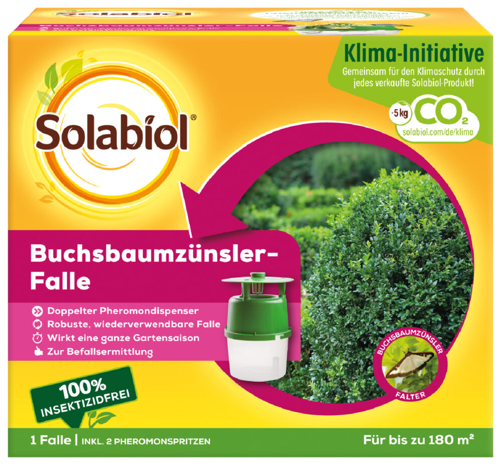 Buchsbaumzünslerfalle