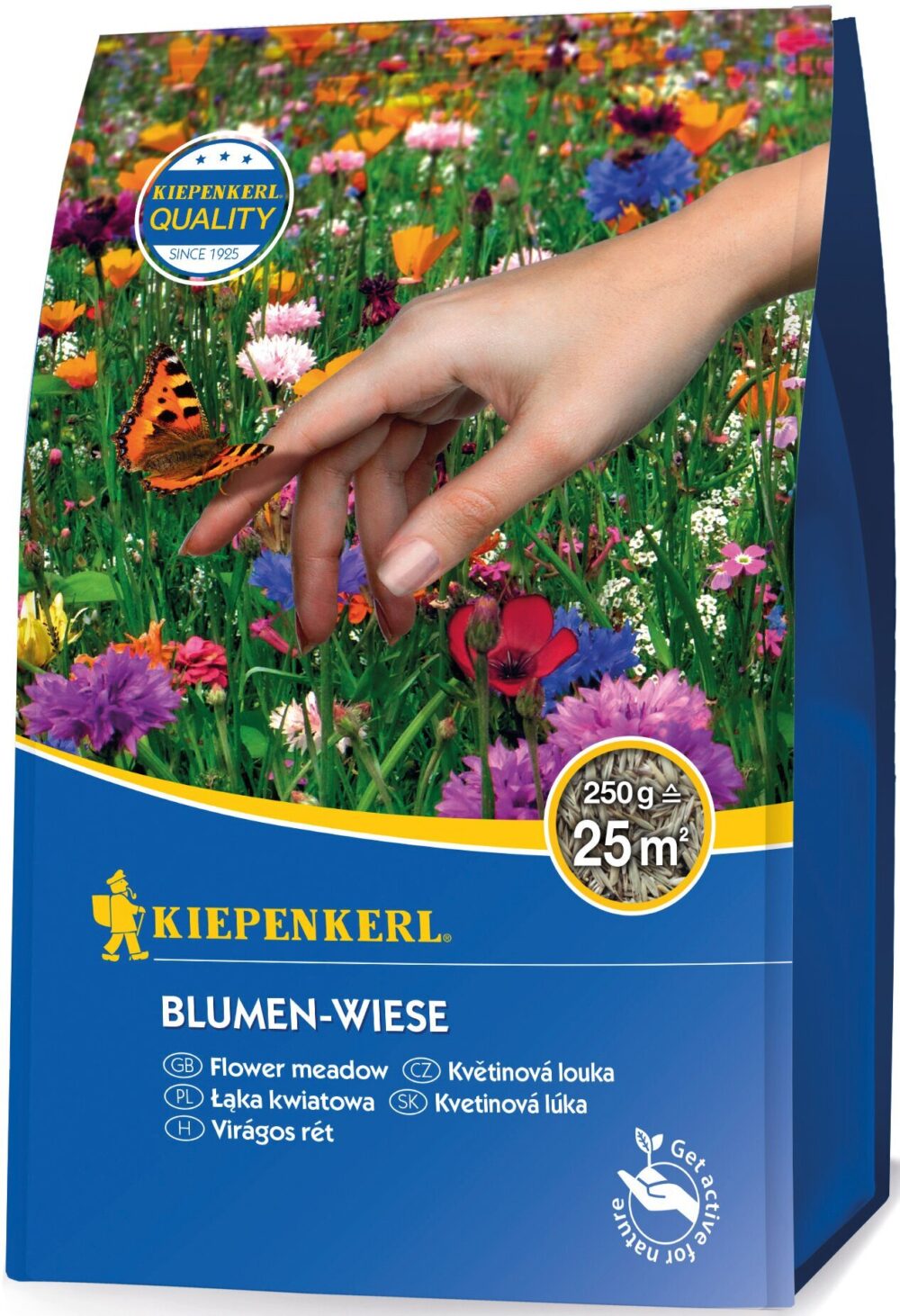 Blumen-Wiese