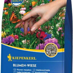 Blumen-Wiese