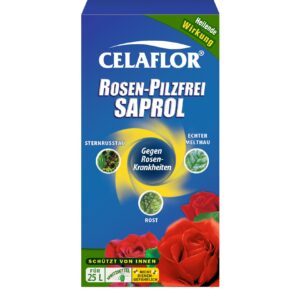 Rosen-Pilzfrei Saprol Konzentrat