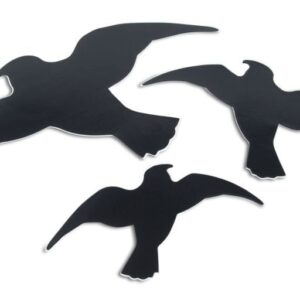 Vogelsilhouette