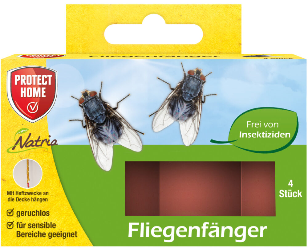 Fliegenfänger