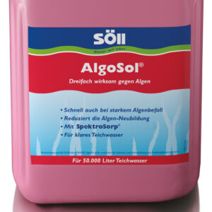 AlgoSol