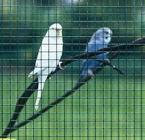 Beakert Casanet grün 5m-Kurzrollen 12